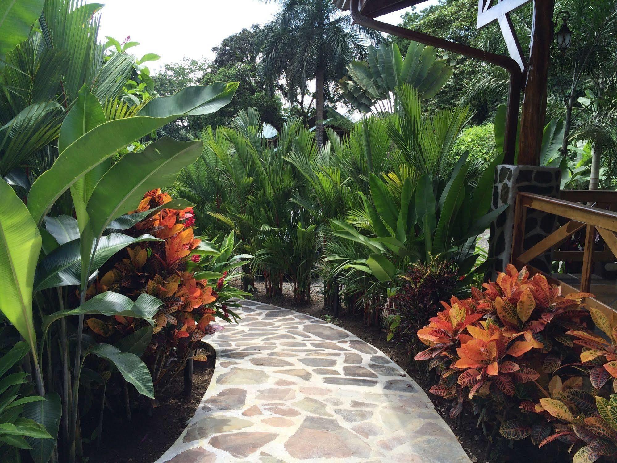 Hotel Mussaenda, Arenal La Fortuna Exterior foto